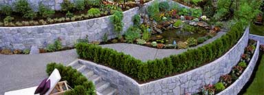 Commercial Landscaping and Maintenance